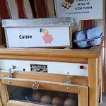 Plain Pied A Avec Parking Privatif - Fr-1-584-330 *